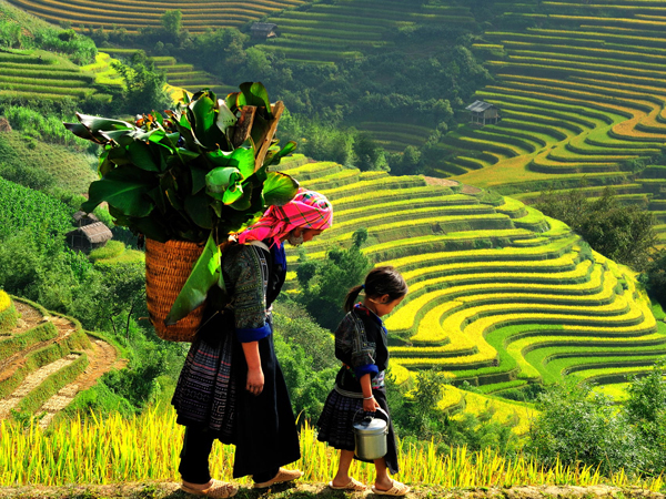 Tour ghép hàng ngày đi Sapa