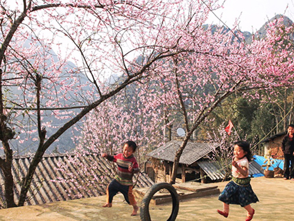 Du xuân Sa Pa cùng Sapa Peaceful Hotel